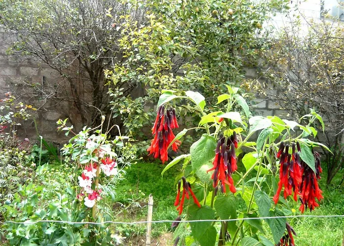 Refugio Ecologico 3*