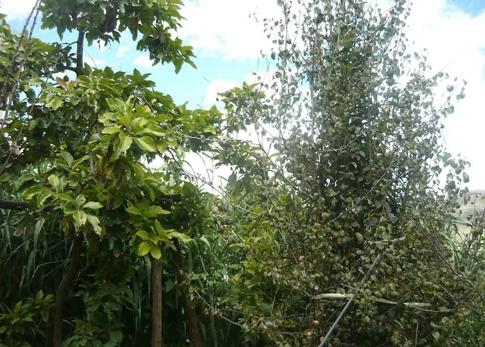 Hotel Refugio Ecologico 3*